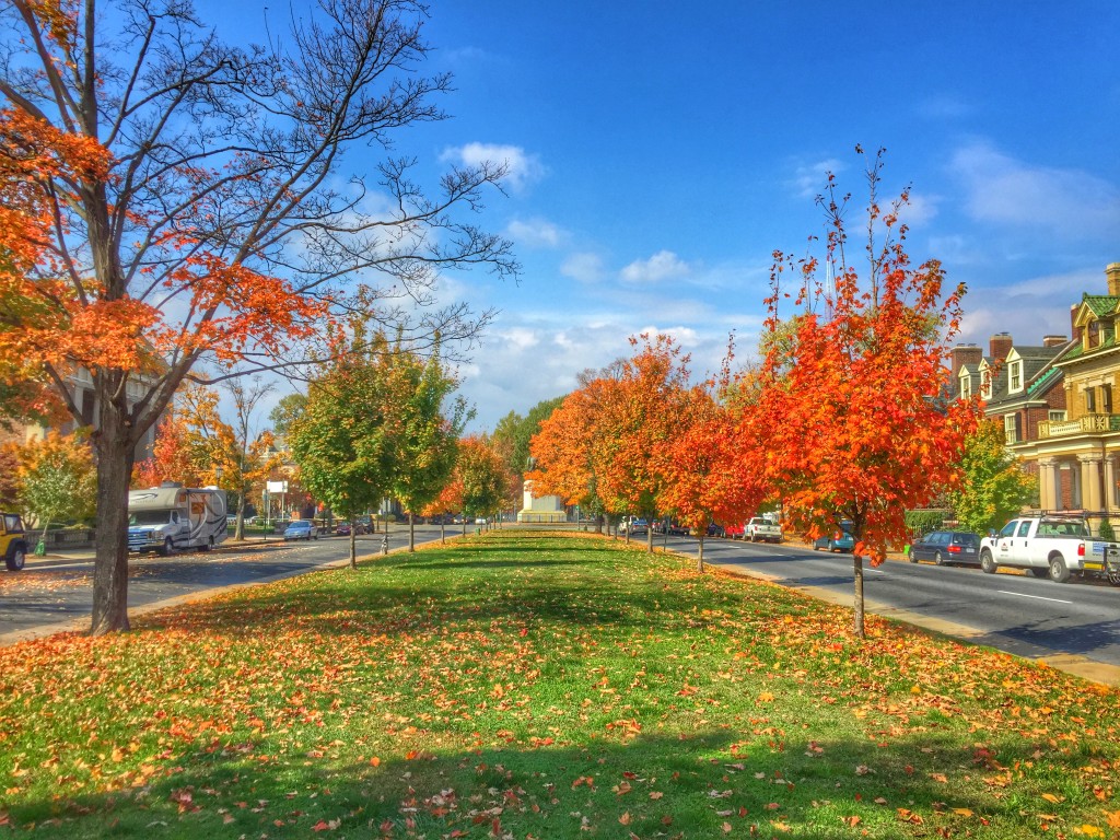 9 Things To Do In Richmond, VA In Fall - Discover Richmond Tours